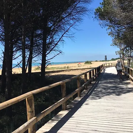 Croce Del Sud ביביונה